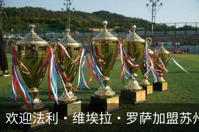 欢迎法利·维埃拉·罗萨加盟苏州东吴足球俱乐部